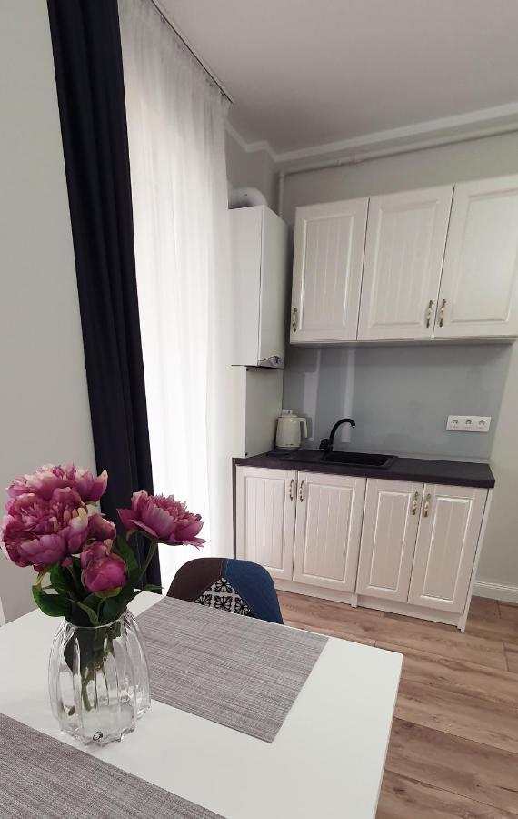 Studio Ema Baia Mare Dış mekan fotoğraf